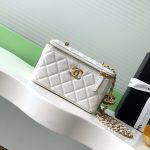 Chanel VANITY Lambskin LB16828 (1)