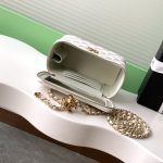 Chanel VANITY Lambskin LB16828 (5)