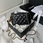 Chanel VANITY Lambskin LB16841 (2)