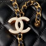 Chanel VANITY Lambskin LB16841 (4)