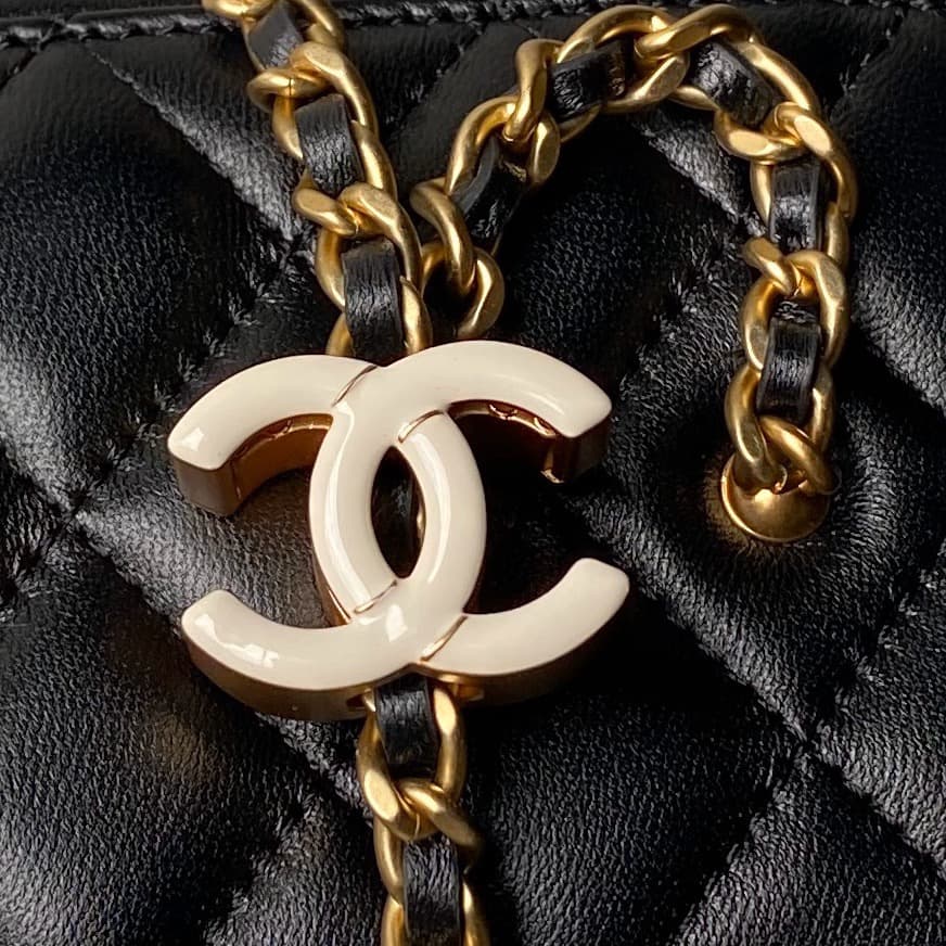 Chanel VANITY Lambskin LB16841 (4)