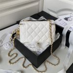 Chanel VANITY Lambskin LB865 (2)