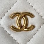 Chanel VANITY Lambskin LB865 (3)
