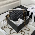 Chanel VANITY Lambskin LB866 (2)
