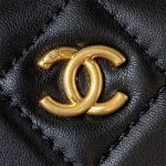 Chanel VANITY Lambskin LB866 (6)