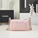 Chanel WOC Grained Shiny Calfskin LB22649 (3)