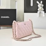 Chanel WOC Grained Shiny Calfskin LB22649 (4)