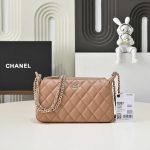 Chanel WOC Grained Shiny Calfskin LB22651 (1)