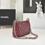 Chanel WOC Grained Shiny Calfskin LB22652 (3)