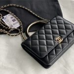 Chanel WOC Lambskin LB11236 (5)