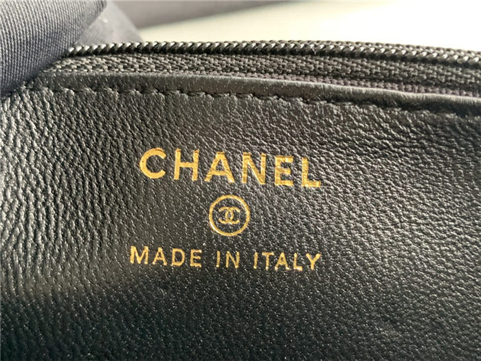 Chanel WOC Lambskin LB11236 (6)