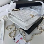 Chanel WOC Lambskin LB11237 (3)
