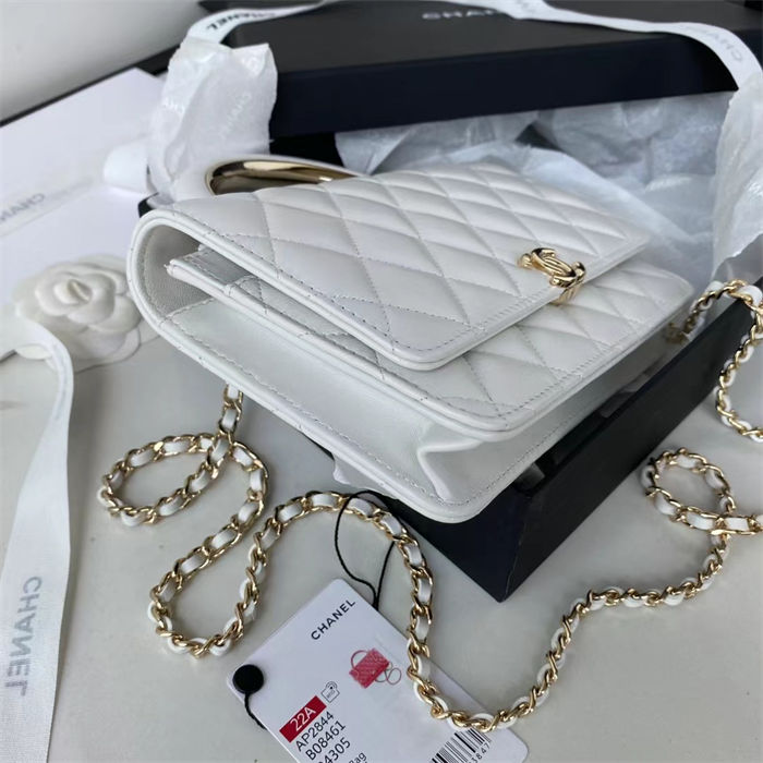 Chanel WOC Lambskin LB11237 (3)