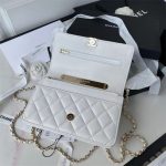 Chanel WOC Lambskin LB11237 (4)