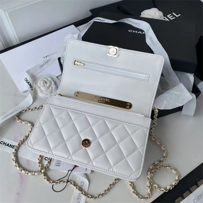 Chanel WOC Lambskin LB11237 (4)