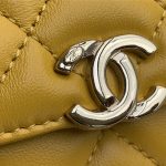 Chanel WOC Lambskin LB11238 (4)