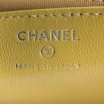 Chanel WOC Lambskin LB11238 (6)