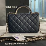 Chanel WOC Lambskin LB11240 (5)