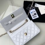 Chanel WOC Lambskin LB12363 (3)
