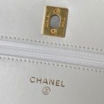 Chanel WOC Lambskin LB16410 (6)