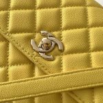 Coco FLAP BAG Grained Calfskin LB16681 (6)