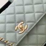 Coco FLAP BAG Grained Calfskin LB16688 (6)