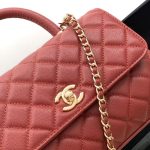 Coco FLAP BAG Grained Calfskin LB16690 (6)