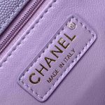 Coco LARGE FLAP BAG Grained Calfskin LB1270 (6)