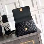 Coco MINI FLAP BAG Calfskin LB16620 (4)