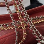 GABRIELLE HOBO Aged Smooth Calfskin LB6656 (5)