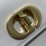 30 MONTAIGNE AVENUE BAG Calfskin LB14325 (5)