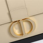 30 Montaigne Bag Calfskin LB8193 (6)