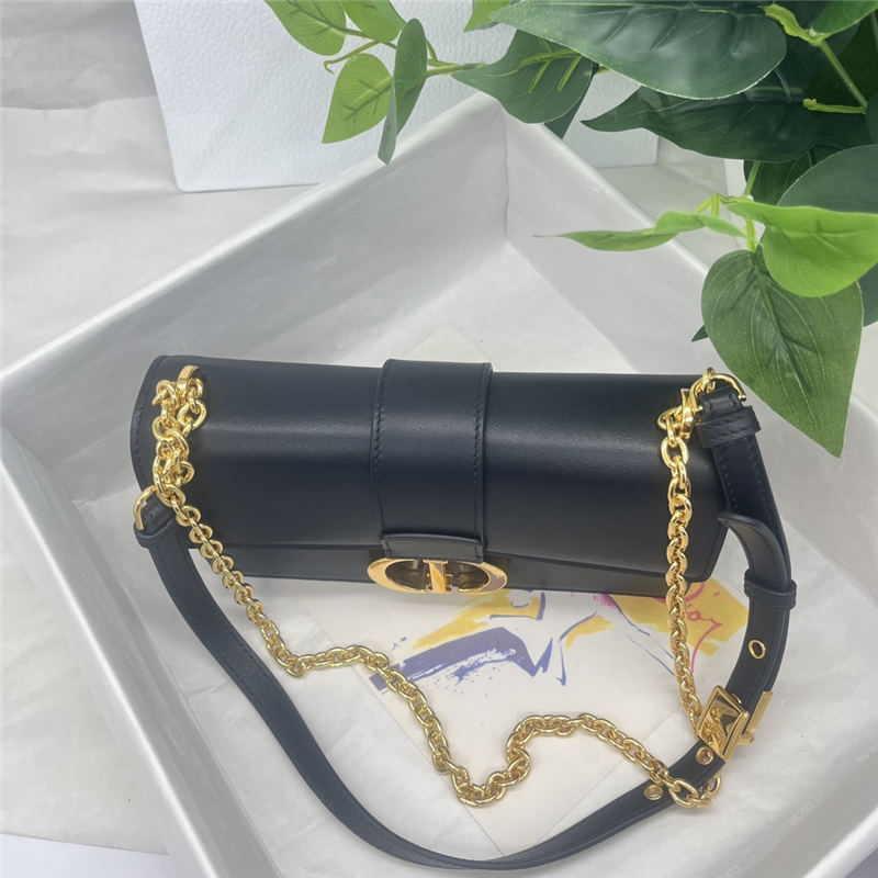 30 Montaigne EAST-WEST Bag Calfskin LB12716 (3)