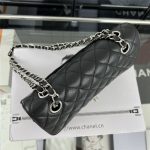 Chanel CLASSIC HANDBAG Grained Calfskin LB3458 (4)