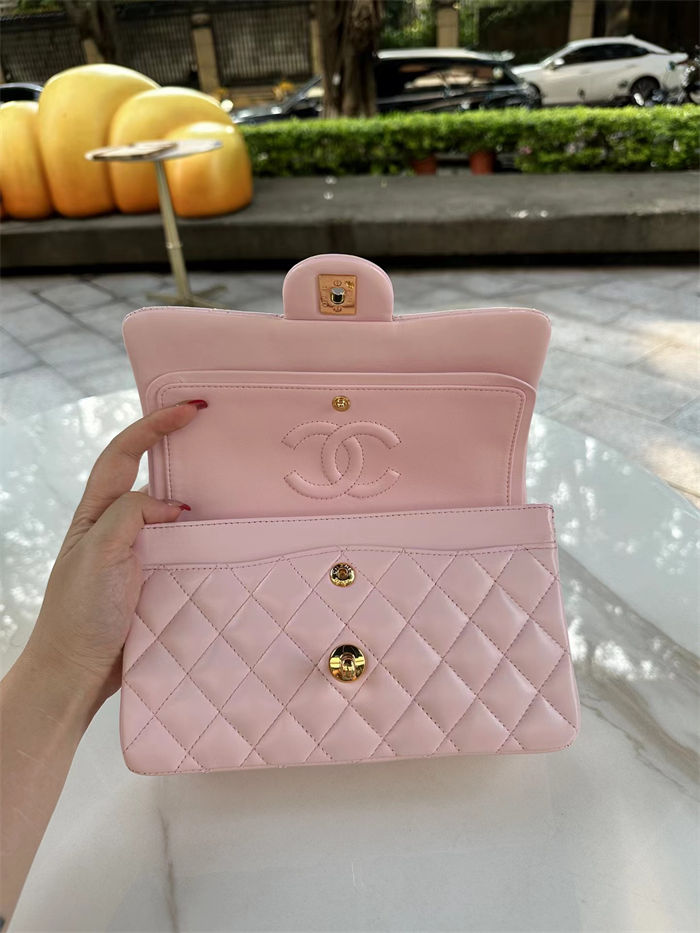 Chanel CLASSIC HANDBAG Lambskin LB776 (4)