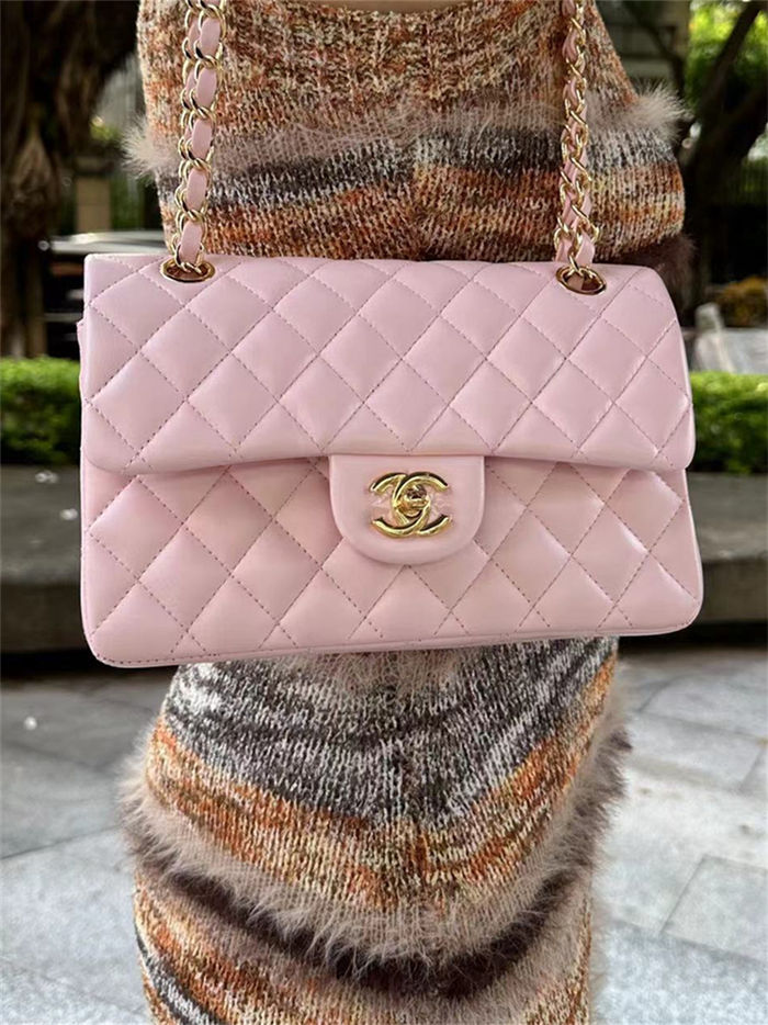 Chanel CLASSIC HANDBAG Lambskin LB776 (6)