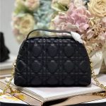 DIOR CARO MINI BAG Cannage Calfskin LB12763 (1)