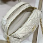 DIOR CARO MINI BAG Cannage Calfskin LB12764 (6)