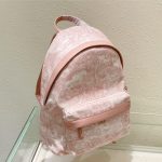 Dior BACKPACK Cotton Canvas LB10263 (2)