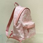 Dior BACKPACK Cotton Canvas LB10263 (3)