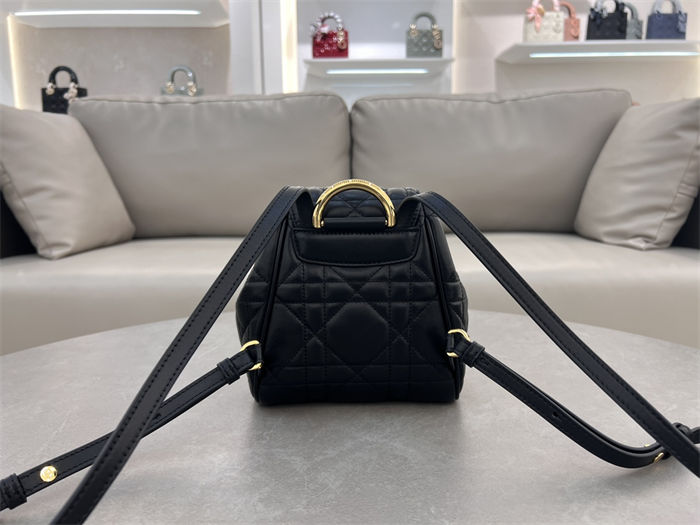 Dior CARO BACKPACK Macrocannage Lambskin LB6508 (5)