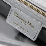 Dior CARO BAG Cannage Calfskin LB8550 (3)