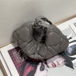 Dior CARO TULIP BAG Macrocannage Calfskin LB11665 (3)