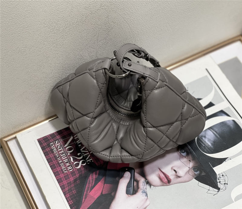 Dior CARO TULIP BAG Macrocannage Calfskin LB11665 (3)