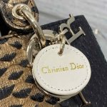 Dior LADY D-JOY MICRO Python LB1290 (2)