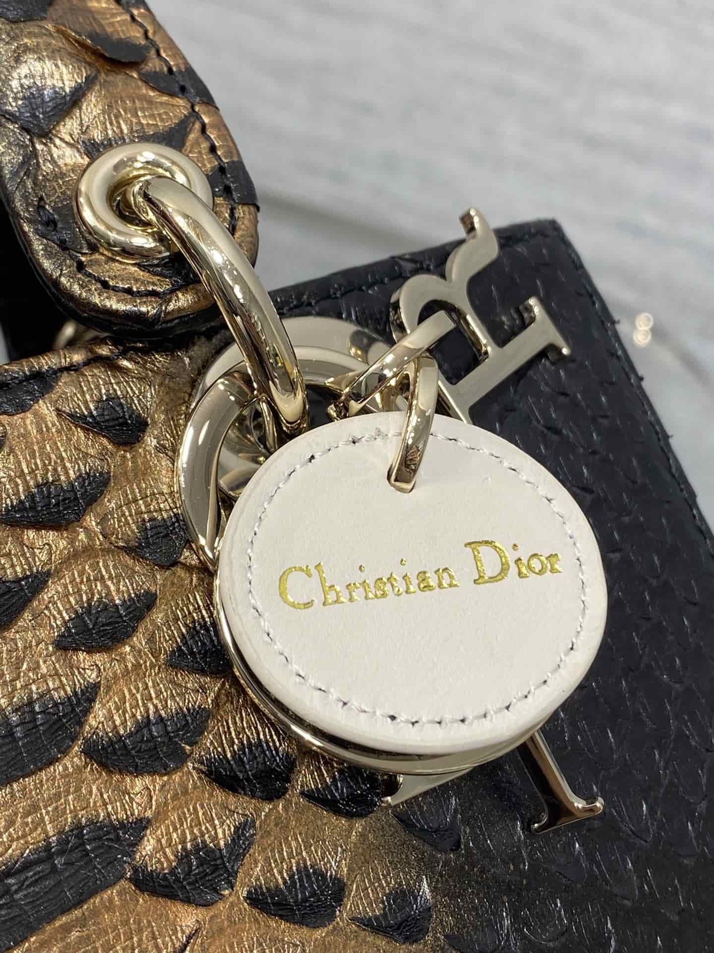 Dior LADY D-JOY MICRO Python LB1290 (2)