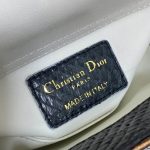 Dior LADY D-JOY MICRO Python LB1290 (6)
