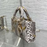 Dior LADY D-JOY Python LB1280 (4)
