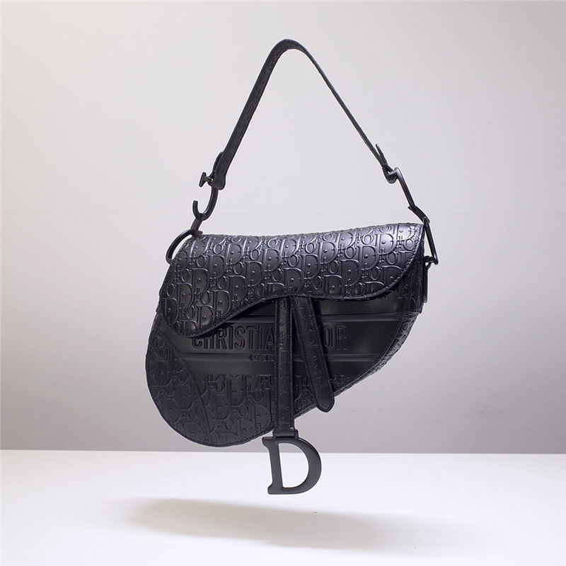 Dior SADDLE BAG Calfskin Embossed LB8131 (1)