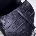 Dior SADDLE BAG Calfskin Embossed LB8131 (2)